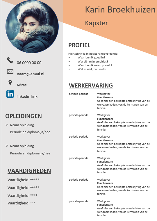 cv template free download word 2017